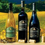 DA_Wine_3