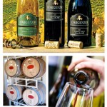 OurWines